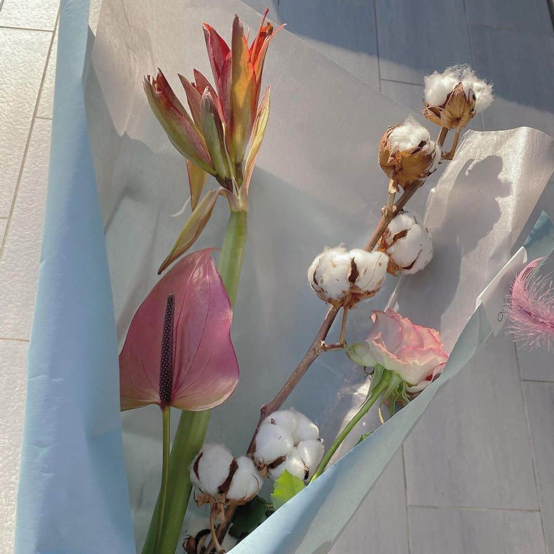 梅村実帆さんのインスタグラム写真 - (梅村実帆Instagram)「もものお散歩ついでにクリスマスのお花を🎅🏻💐 なんかわたあめみたいなやつかわいい☁️ 今から大掃除する🧼🧹」12月22日 14時28分 - miho11k