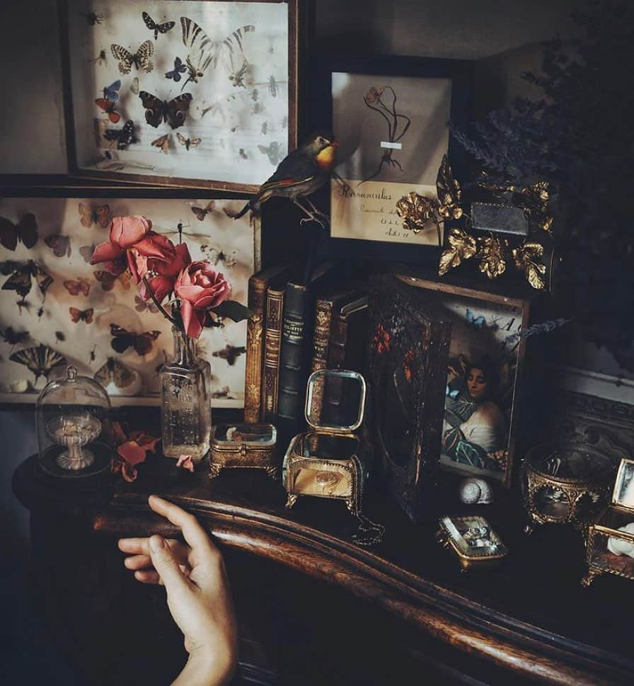 FRENCH GIRLのインスタグラム：「Swooning over @jamiebeck.co ‘s mantle of curiosities (in addition to swooning over her dreamy photography, per usual), which is setting the mood for our Winter Solstice ✨ #MondayMuse   Photo by Jamie 🦋」