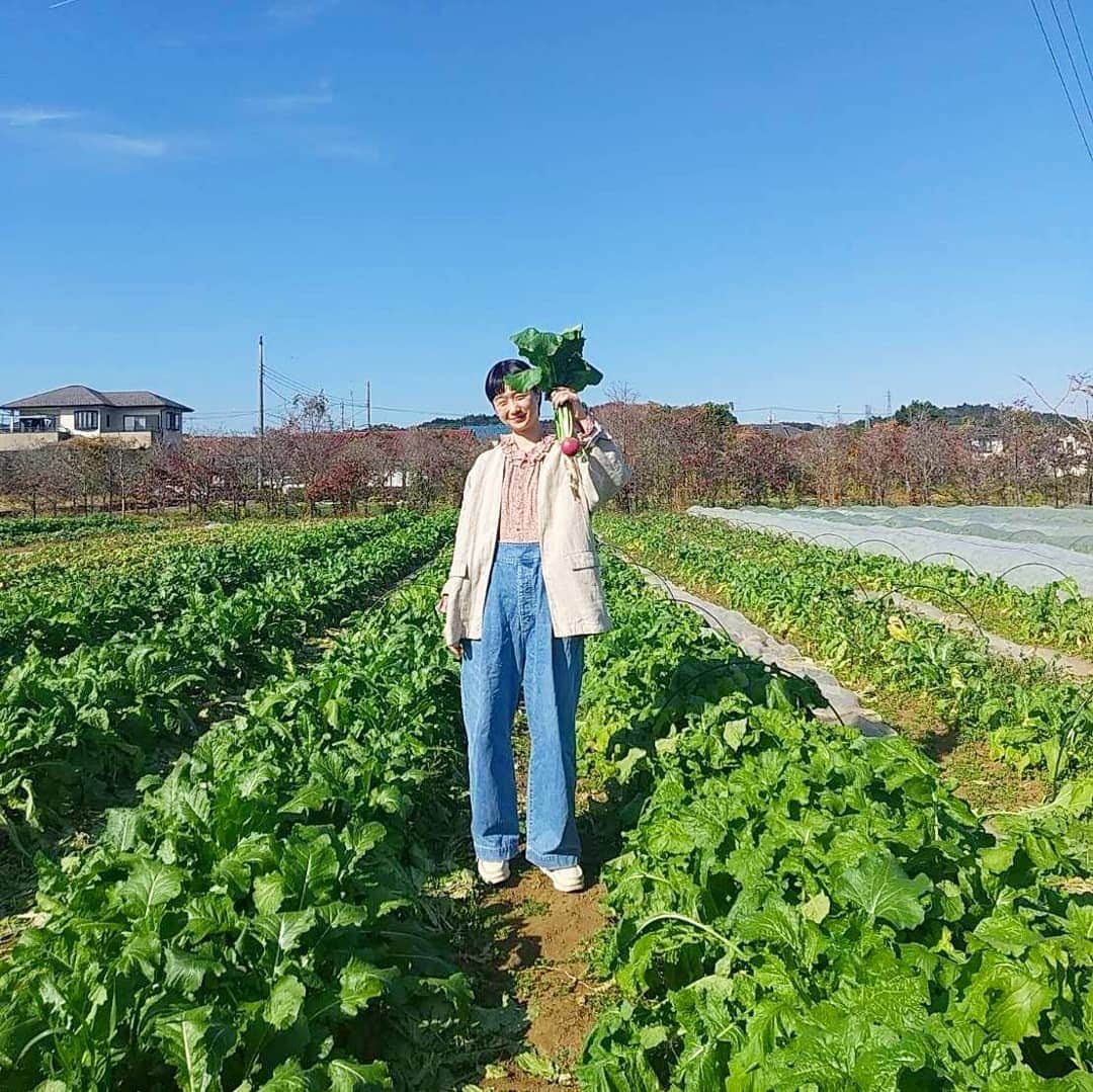 リンネルさんのインスタグラム写真 - (リンネルInstagram)「こんにちは。最近ぐっと寒くなりスープやカレーなどからだのあたたまるものばかりを食べていますが、思い出すのはOme Farmの取材でいただいた、賄いカレーのこと。東京生まれ無農薬育ちのカブのカレーがおいしくておいしくて！   Ome Farmでは、固定種・在来種由来の伝統野菜を、農薬・化学肥料不使用で育てているのですが、さまざまな生き物の相互作用で育った野菜たちは、生命力にあふれ輝いてみえました。  カレーに入っていたカブも、いきいきとしてびっくりするほどちゃんと味がして、からだに染み渡る～とモリモリいただいたのでした。  カレーのことは本誌には書いていないのですが 笑、発売中のリンネル2月号の連載『taraさんと考える私と地球に心地よい暮らし』で、Ome Farmの取材の様子が掲載されています。ぜひご覧ください✨  taraさんと一緒に、地球と私たち生物のサステナブルの未来のためにできることは何かを考え、実践する連載なのですが、今回の連載のテーマは“生物多様性”。地球上のさまざまな生き物たちには違いがあって、かかわり合いながら命を支えあっているということを、国立環境研究所の #竹内やよい 先生に教えていただいたのですが、“生物多様性”の保全の大切さをOme Farmで体感できたような気がしました。  #リンネル #tara さん連載 #私と地球に心地よい暮らし #OmeFarm のみなさんありがとうございました #竹内やよい 先生ありがとうございました」12月22日 15時16分 - liniere_tkj