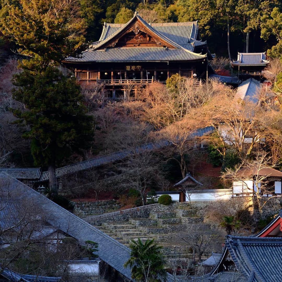 奈良 長谷寺 / nara hasederaのグルメインスタ