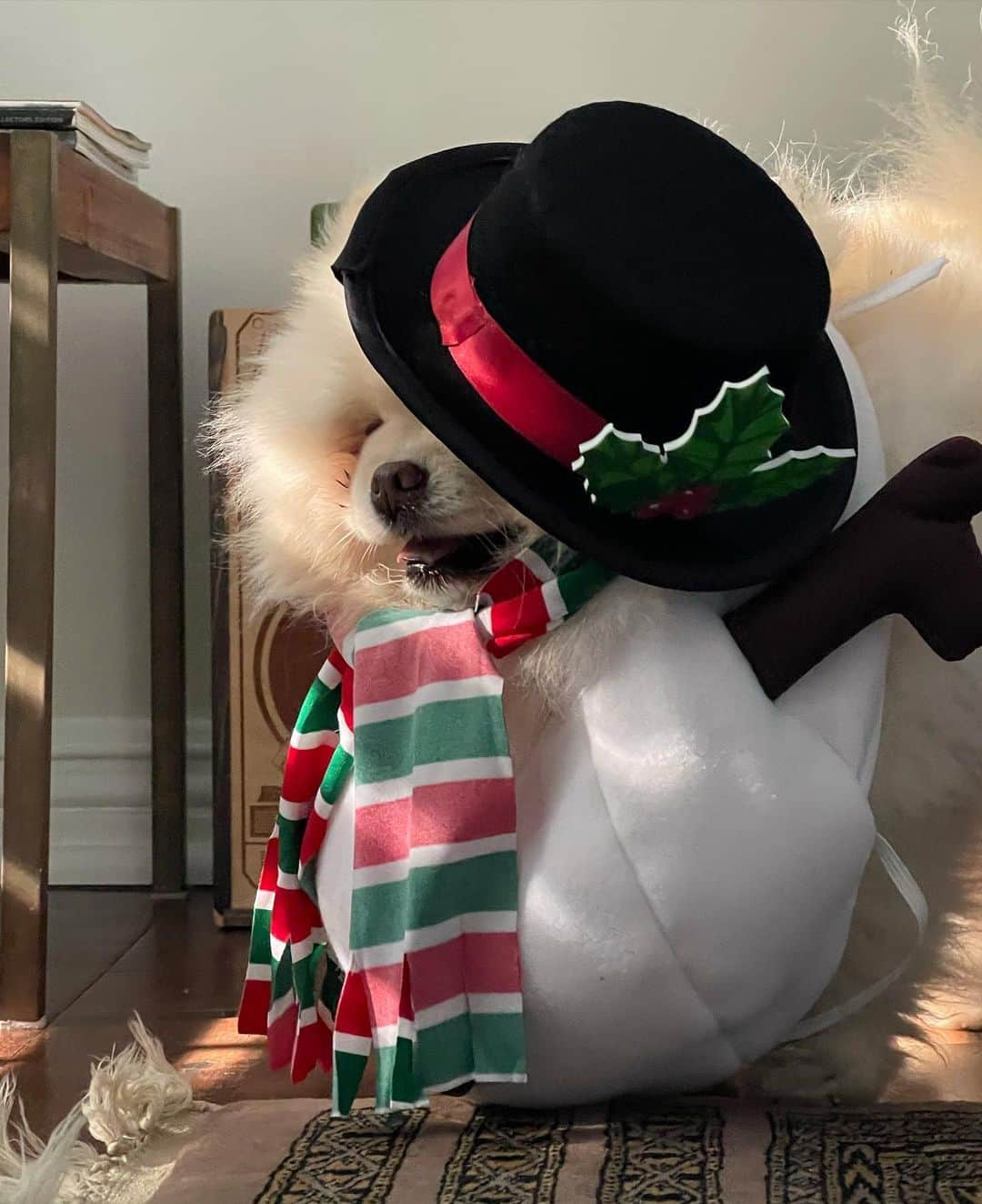 ブリトニー・パーマーさんのインスタグラム写真 - (ブリトニー・パーマーInstagram)「Happy Holidays from my two little snowballs! ⛄️ ❄️  . . .  This was definitely worth a try, swipe to see what this outfit was supposed to look like. 😂」12月23日 1時45分 - brittneypalmer