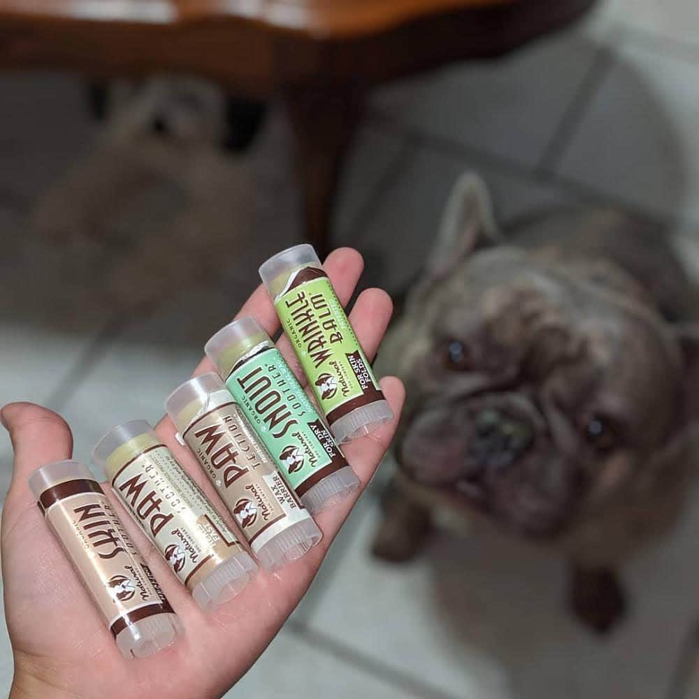 Regeneratti&Oliveira Kennelのインスタグラム：「Stocking stuffers for your pupper(s)! Perfectly sized to make sure your pup stays moisturized and protected, even on the go. Sample all 5 and see the amazing results for yourself. . ⭐ SAVE 20% off @naturaldogcompany with code JMARCOZ at NaturalDog.com  worldwide shipping  ad 📷: @maricela.dfw  . . . . . . #frenchiepetsupply #frenchiesofinsta #pugsofinsta #frenchbulldog #frenchiesofinstagram #pug #frenchies #reversibleharness #frenchiehoodie #thedodo #frenchieharness #dogclothes #dogharness #frenchiegram #dogsbeingbasic #frenchieoftheday #instafrenchie #bulldogs #dogstagram #frenchievideo #cutepetclub #bestwoof #frenchies1 #ruffpost #bostonterrier #bostonsofig #animalonearth #dog」