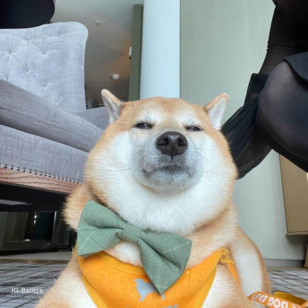 Balltze My name is Ballのインスタグラム：「Me at my brother’s wedding being his bestman  #balltze #fat96 #nomnomnomclub #balltzecheems #cheems #yos」