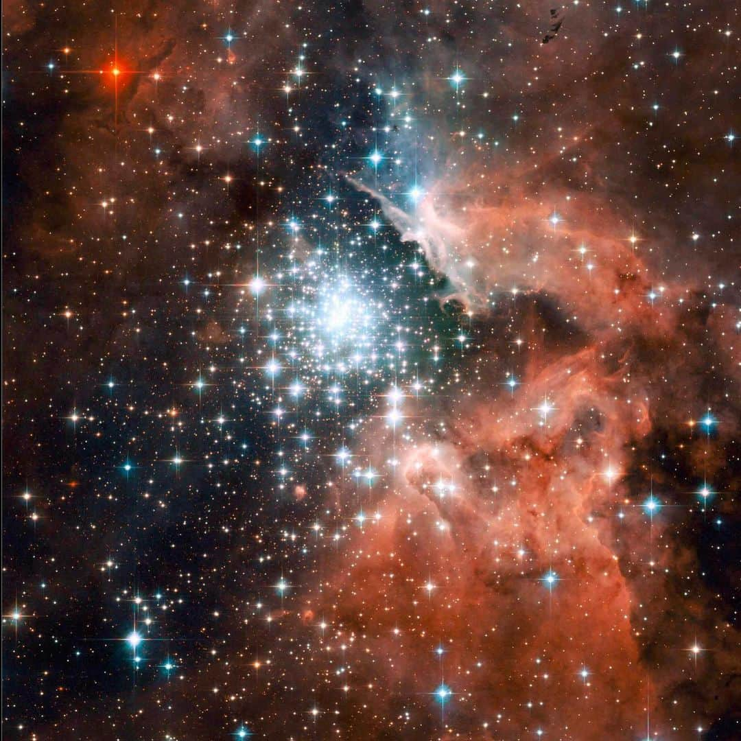 NASAさんのインスタグラム写真 - (NASAInstagram)「Twinkle, twinkle, little stars!🎶✨   About 20,000 light-years away in the Carina spiral arm of the Milky Way, thousands of sparkling young stars are nestled within giant nebula NGC 3604.  This stellar jewel box, first discovered by Sir John Herschel in 1834, is one of the most luminous young star clusters in the Milky Way, and the densest concentration of very massive stars known in the galaxy. Bathed in gas and dust the cluster formed in a huge rush of star formation thought to have occurred about a million years ago. The super hot blue stars in the middle are responsible for strong ultraviolet radiation and fast winds, carving out a huge cavity in the gas. These gaseous monoliths are a few light-years tall and point to the central cluster. The stalks may be incubators for new stars!   Credit: NASA, @ESA, and the Hubble Heritage (STScI/AURA)-ESA/@nasahubble Collaboration  #NASA #Universe #Nebula #Stars #MilkyWay #Astronomy #Galaxy #Stellar」12月23日 1時58分 - nasa