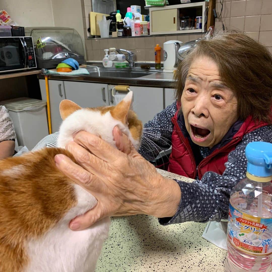 Kachimo Yoshimatsuさんのインスタグラム写真 - (Kachimo YoshimatsuInstagram)「バーバちゃんとおいなりちゃん。 Mother & Oinari-Chan 実習中。 #うちの猫ら #oinari #バーバ #バーバ見守り隊 #バーバと猫 #猫 #ねこ #cat #ネコ #catstagram #ネコ部 http://kachimo.exblog.jp」12月22日 18時16分 - kachimo