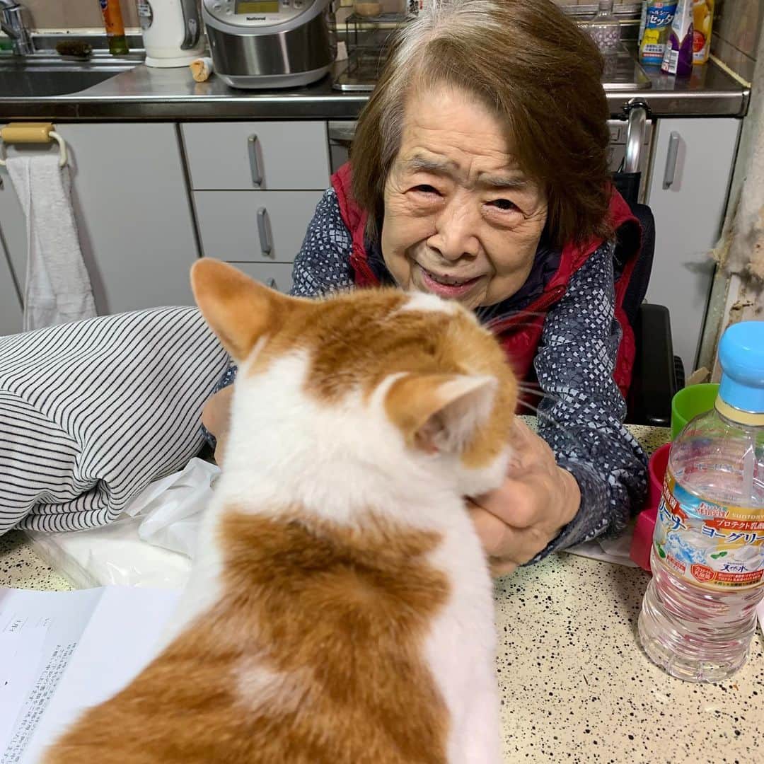 Kachimo Yoshimatsuさんのインスタグラム写真 - (Kachimo YoshimatsuInstagram)「バーバちゃんとおいなりちゃん。 Mother & Oinari-Chan 実習中。 #うちの猫ら #oinari #バーバ #バーバ見守り隊 #バーバと猫 #猫 #ねこ #cat #ネコ #catstagram #ネコ部 http://kachimo.exblog.jp」12月22日 18時16分 - kachimo