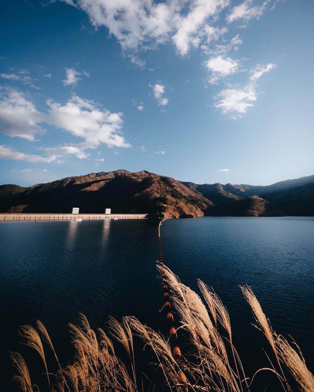 _msy_tのインスタグラム：「The Lake Okutama through susuki grasses. . ススキ越しの奥多摩湖。 夕方の少し前、空と湖の青 × オレンジがかった太陽光🌄 . . . 📷 α7III / SONY FE 12-24mm F4 G 📍Okutama, Tokyo  📒December 2020 . . . #visitjapanjp #alpha_newgeneration #tokyocameraclub #sorakataphoto #retrip_nippon #art_of_japan_ #daily_photo_jpn #wu_japan #japan_daytime_view #rakutentravel #jalan_travel #lovers_nippon #bestjapanpics  #whim_life #special_spot_ #loves_united_japan #japan_art_photography #Nipponpic #lovers_amazing_group #japantravelphoto #otonatabi_japan #total_nature_japan #photo_travelers #tamashimaフォトコン #多摩でみつけた自然 #広がり同盟  #東京カメラ部 #奥多摩 #奥多摩湖」