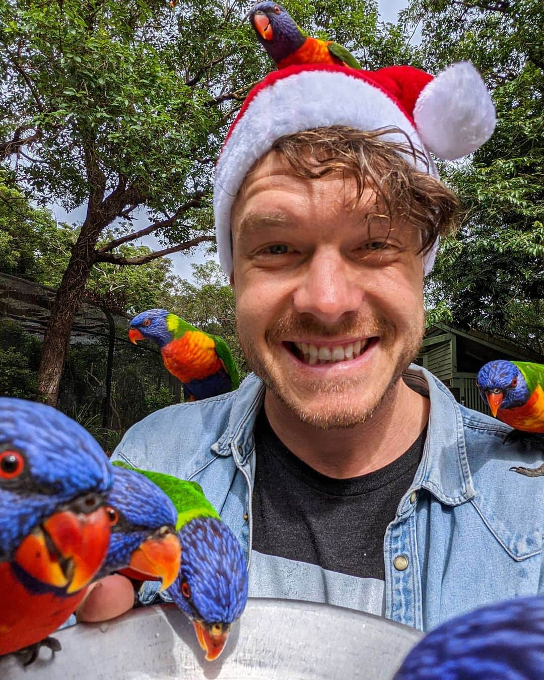 アラン・ディクソンのインスタグラム：「We're all wishing you an awesome Christmas! 🎄🎅  Call your parents, send your postcards or gifts, send some voice notes. That will raise everyone's spirits over these strange holidays.   P.S. these savage yet colorful parrots attacked me, so click my bio link to enjoy seeing that ⚡or they'll come after you.」