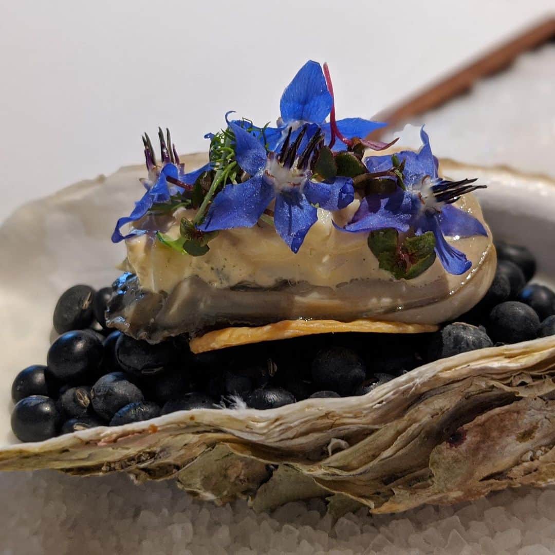 "TERIYAKI" テリヤキ編集部のグルメインスタ