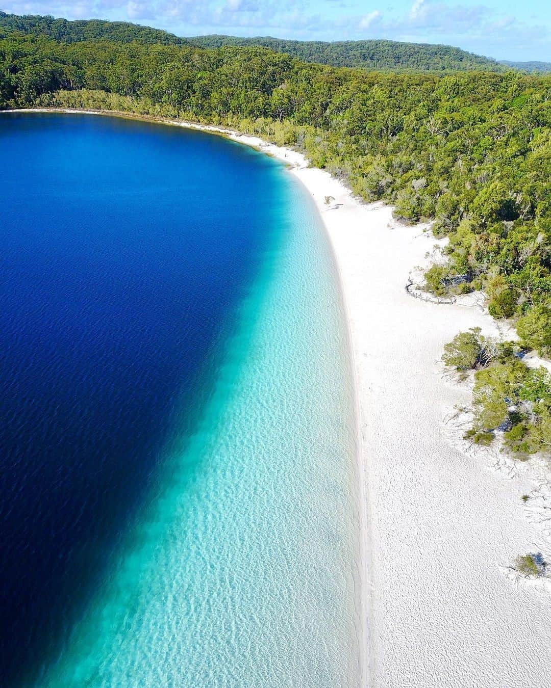 Australiaさんのインスタグラム写真 - (AustraliaInstagram)「Holiday mode activated! 😎🏖️ Sending you some early vay-cay vibes courtesy of @linc_lewis, who captured the picturesque #LakeMckenzie when exploring @visitfraserisland recently - isn't it just magical?! 💙 Located in @queensland's @visitfrasercoast, #FraserIsland has recently reopened to visitors, meaning this popular natural attraction is once again ready and waiting to be explored! For the full island experience, we recommend staying at @kingfisherbayresort and booking one of their adventure experiences such as 4-wheel-driving, a segway tour or a guided-walk, or, for something a little more bespoke, request a personalised tour and spend the day exactly how you’d like! #seeaustralia #thisisqueensland #frasercoast #visitfraserisland #holidayherethisyear」12月22日 19時00分 - australia