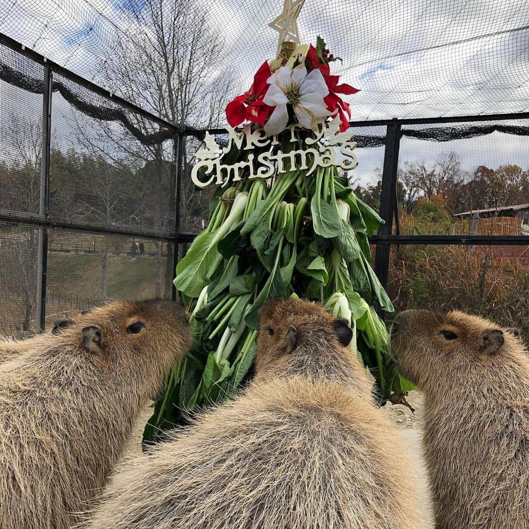 山中真のグルメインスタ