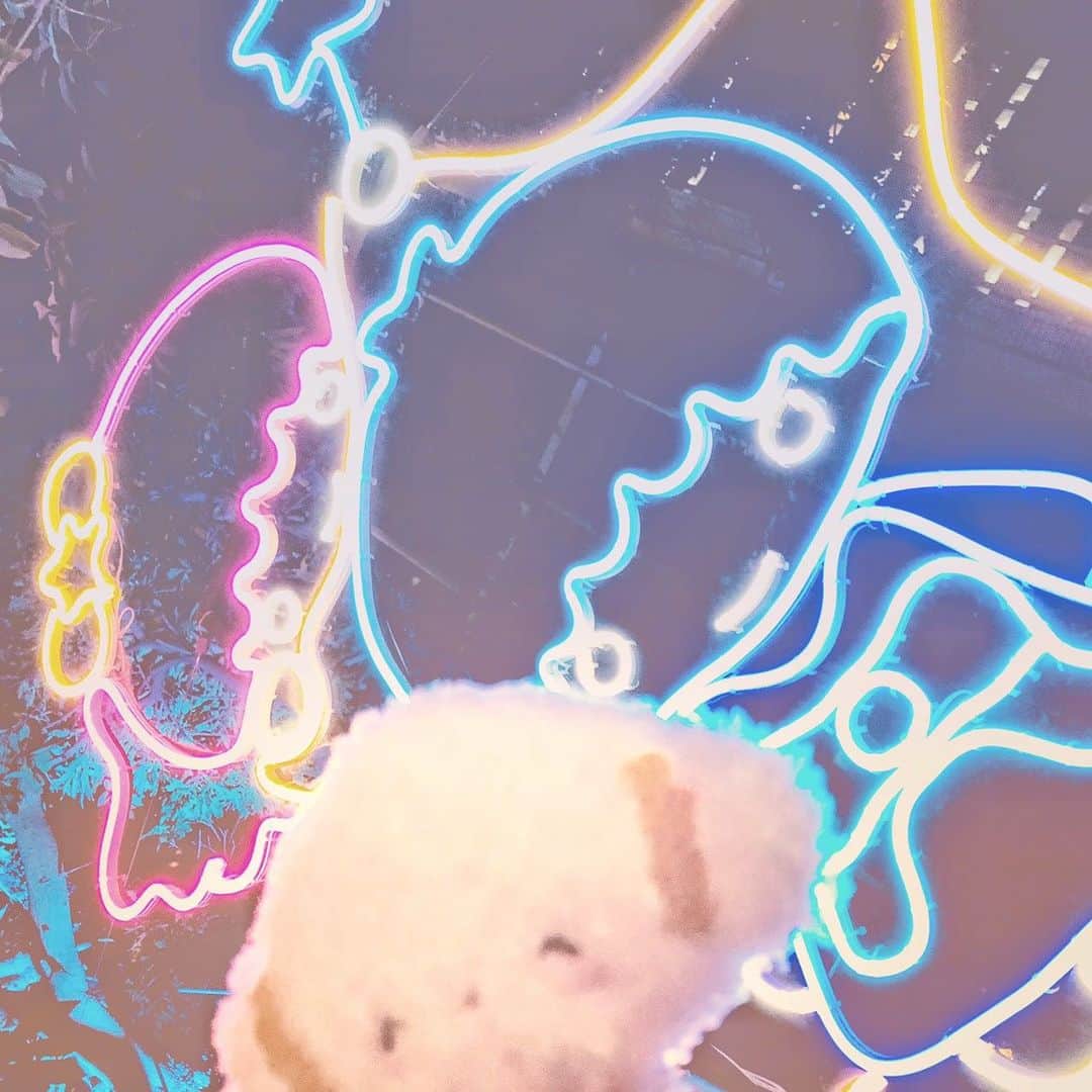 こぎみゅん（サンリオ）さんのインスタグラム写真 - (こぎみゅん（サンリオ）Instagram)「新宿サザンテラスのキキくんとララちゃんのイルミネーション、 とってもキレイでうっとりしちゃうみゅん･･ 2枚目、どこにいるか分かるみゅん･･？ #サンリオ #キャラクター #小麦粉の妖精 #こぎみゅん #sanrio #character #cogimyun #リトルツインスターズ #キキララ #サザンテラス #新宿 #エモい  https://is.gd/MX9ozu」12月22日 19時22分 - cogimyun_official