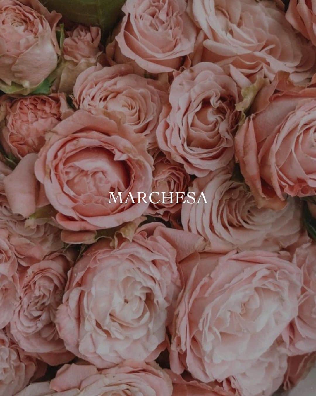 JUNOのインスタグラム：「“MARCHESA Bride”﻿ ﻿ いつかMARCHESAのドレスを纏って﻿ 結婚したいと憧れる 世界中の女性たち﻿ ﻿ その魅力は﻿ 芸術的なほど美しい刺繍やビーディング﻿ ロマンティックな3Dフラワー﻿ 洗練されたシルエット﻿ ﻿ 大人の女性だからこそ叶う﻿ ロマンティックにあります﻿ ﻿ 皆さまの運命の1着となります様に﻿ ﻿ #inesdisanto﻿ #MARCHESA﻿ #antonioriva﻿ #naeemkhan﻿ #inmaculada﻿ #kennethpool﻿ #zacposen﻿ #juno﻿ #junowedding﻿ #wedding﻿ #weddingdress﻿ #viktorandrolf ﻿ #lenamedoyeff ﻿ #ジュノ﻿ #ウエディング﻿ #ウェディング﻿ #ウエディングドレス﻿ #ウェディングドレス﻿ #ドレス﻿ #プレ花嫁﻿ #2020冬婚﻿ #2021春婚﻿ #福岡花嫁﻿ #東京花嫁﻿ #九州花嫁﻿ #関東花嫁」