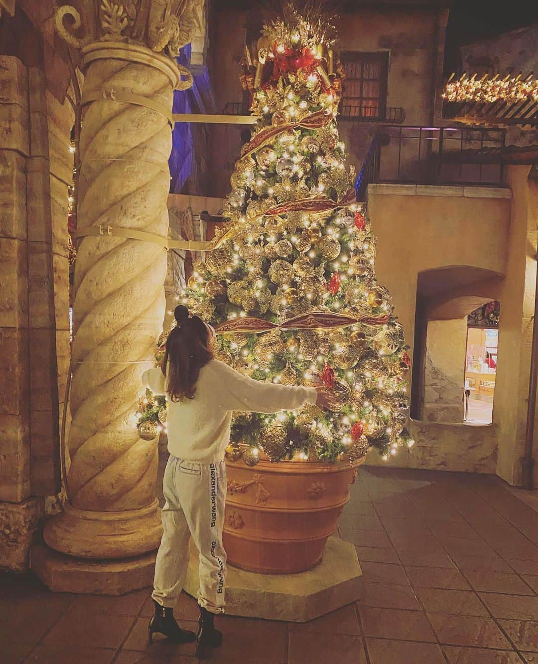 ほのかのインスタグラム：「🎄💓😌😌 #この写真好き❤ #元気玉みたい #カメラマン天才だね #disneysea#christmas#🎅」