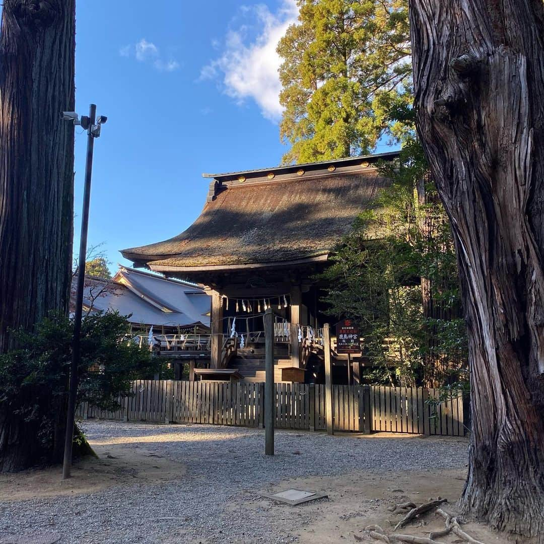 関口愛美さんのインスタグラム写真 - (関口愛美Instagram)「鹿島神宮。歩いてるだけで心や頭の中が澄んでいくような気持ち良い場所でした☺️✨ 曾祖父が神主をしてた神社の記録によるとご先祖様は鹿島神宮か香取神宮の神官をされていたそうなので、ご先祖様ゆかりの場所に訪れる事が出来て嬉しかったです🙏✨  #鹿島神宮 #東国三社 #神社 #japaneseshrine #instajapan #kashimajingu #奥宮 #御手洗池」12月22日 19時56分 - sekiguchiaimi