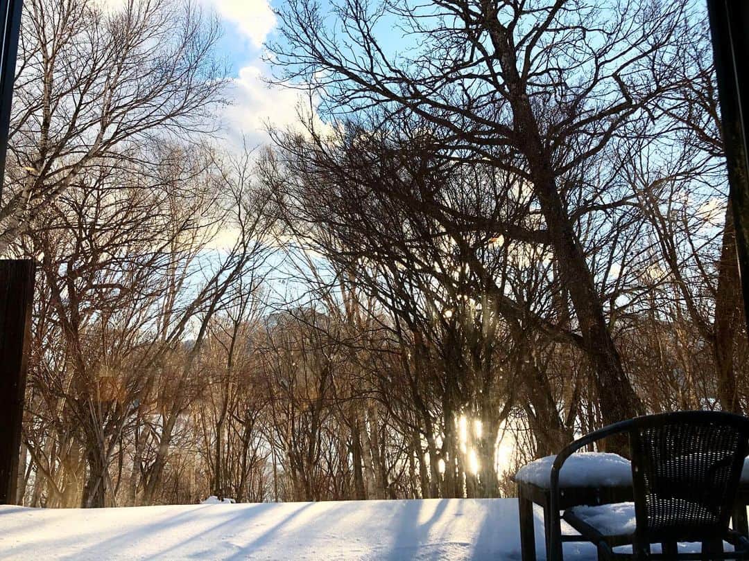 山本浩未さんのインスタグラム写真 - (山本浩未Instagram)「何年か前に旅した日光の湖畔がとても良かったので、中禅寺湖を望むお宿をリクエスト。  が、中禅寺湖、とてつもなく大きい、、😑  散策しながら一周回れるような湖だったのに、、😅  と、少々うなだれつつ部屋に入ってビックリ😳  目の前に、想像もしてなかった美しい光景がっ✨✨😍✨✨  湖と白樺と雪と青空とー😭💕💕💕  やっぱ日光サイコーだぜぇ😆👍🏻  はたして、想い出の湖畔はどこなのか、、🤔  #日光 #奥日光 #中禅寺湖 #吉方位」12月22日 20時05分 - hiromicoy