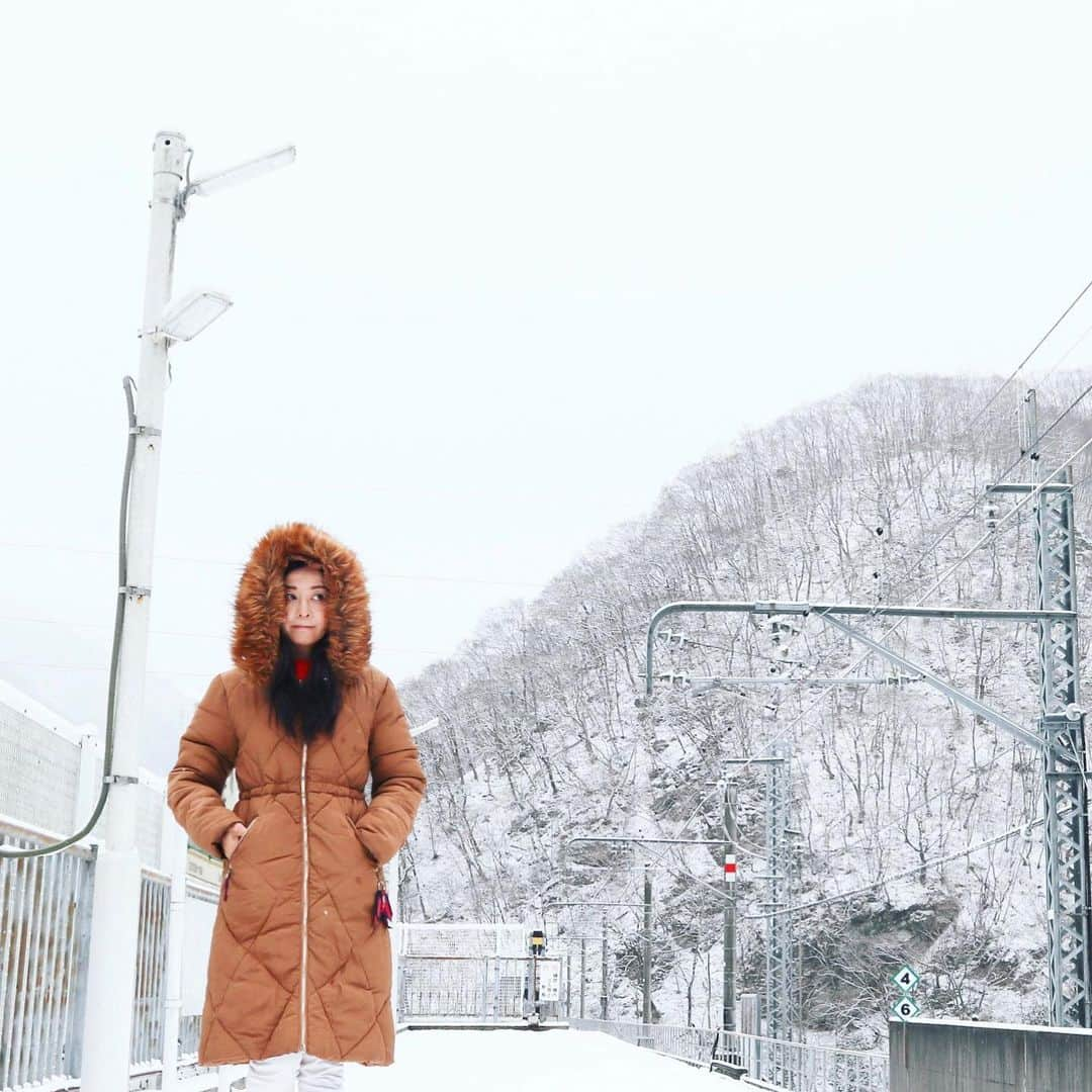 大桃美代子さんのインスタグラム写真 - (大桃美代子Instagram)「雪国育ちで一番好きな日は、  初雪の朝。  一面銀世界になる時なんだ。  トンネル抜けたら雪国だった、、、。  そんな瞬間。  見ていたものが全く違うように見える。  価値観も、経験も全てが変わる。  風の時代の幕開け。  君は、生き残る事ができるか？？  〜〜〜シャア〜〜〜  #雪国#雪#初雪#風の時代#コンジャンクション #白#funtotrip#discoverjapan #冬好きな人と繋がりたい」12月22日 20時16分 - miyoko_omomo