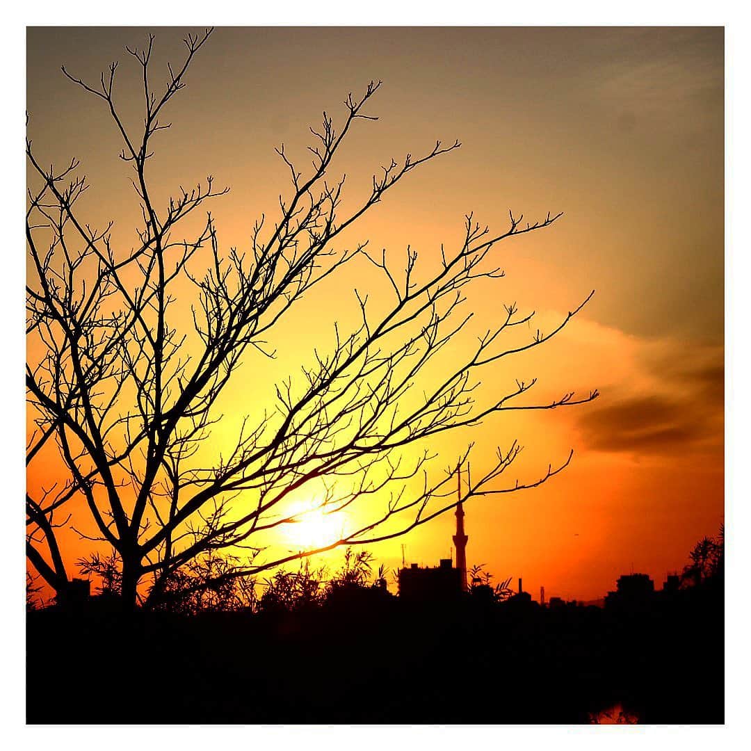 森杏奈さんのインスタグラム写真 - (森杏奈Instagram)「ㅤㅤㅤㅤㅤㅤㅤㅤㅤㅤㅤㅤㅤ ㅤㅤㅤㅤㅤㅤㅤㅤㅤㅤㅤㅤㅤ a.m.の撮影をした帰りの夕陽が とってもとっても綺麗だったので撮ってみました🌅 ㅤㅤㅤㅤㅤㅤㅤㅤㅤㅤㅤㅤㅤ #夕陽 ㅤㅤㅤㅤㅤㅤㅤㅤㅤㅤㅤㅤㅤ」12月22日 20時24分 - _morianna