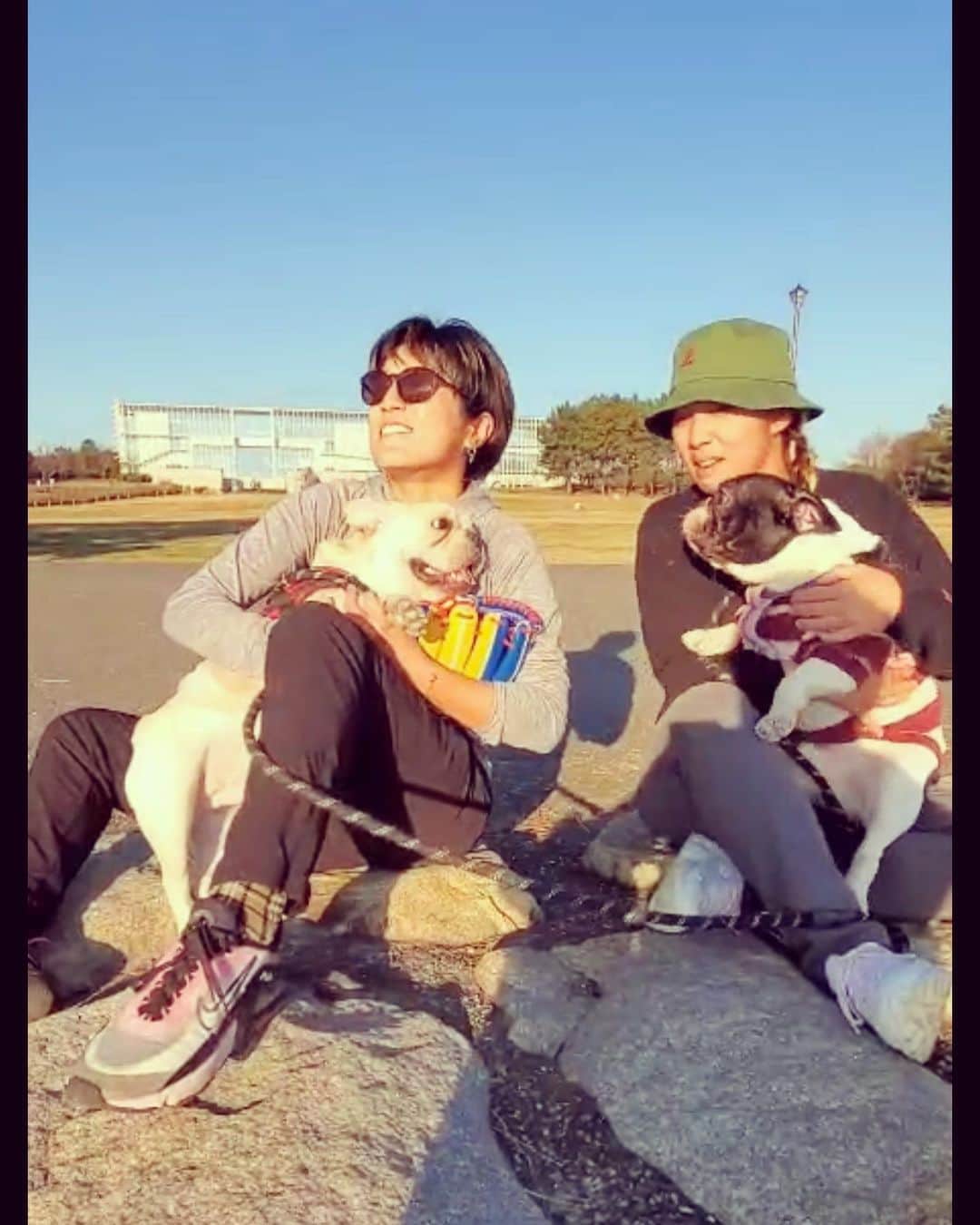 藤本麻子のインスタグラム：「🐶🐶♡ 一緒に走り回った〜🐶 遊んであげたのか遊ばれたのかw めっちゃ癒されたわぁ〜 最高の休日withまいめん達 一緒に過ごせて幸せ😉」