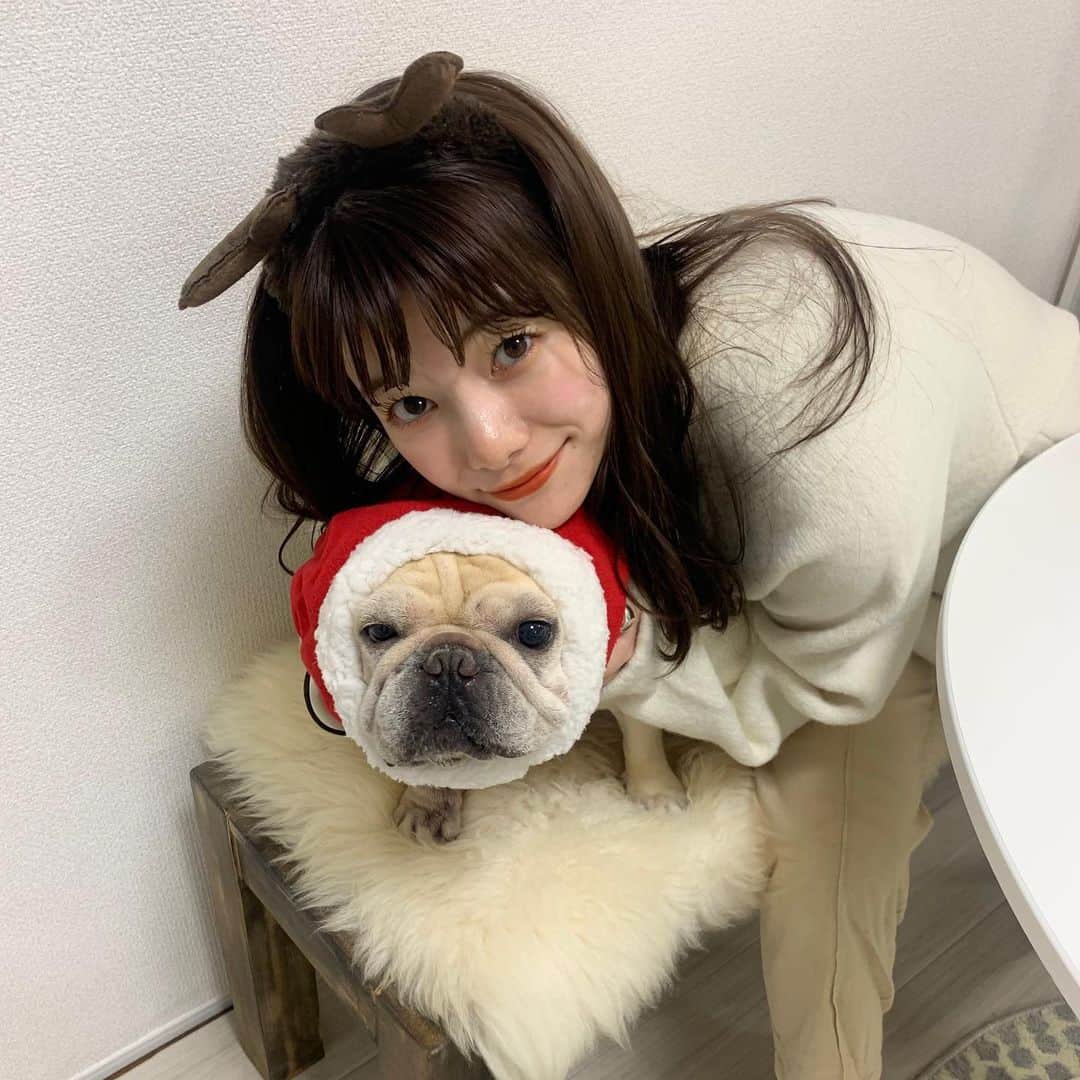 西谷菜々のインスタグラム：「. 少し早めのクリスマス会、でした🐶🎄(ケーキ食べただけ🎂笑)」