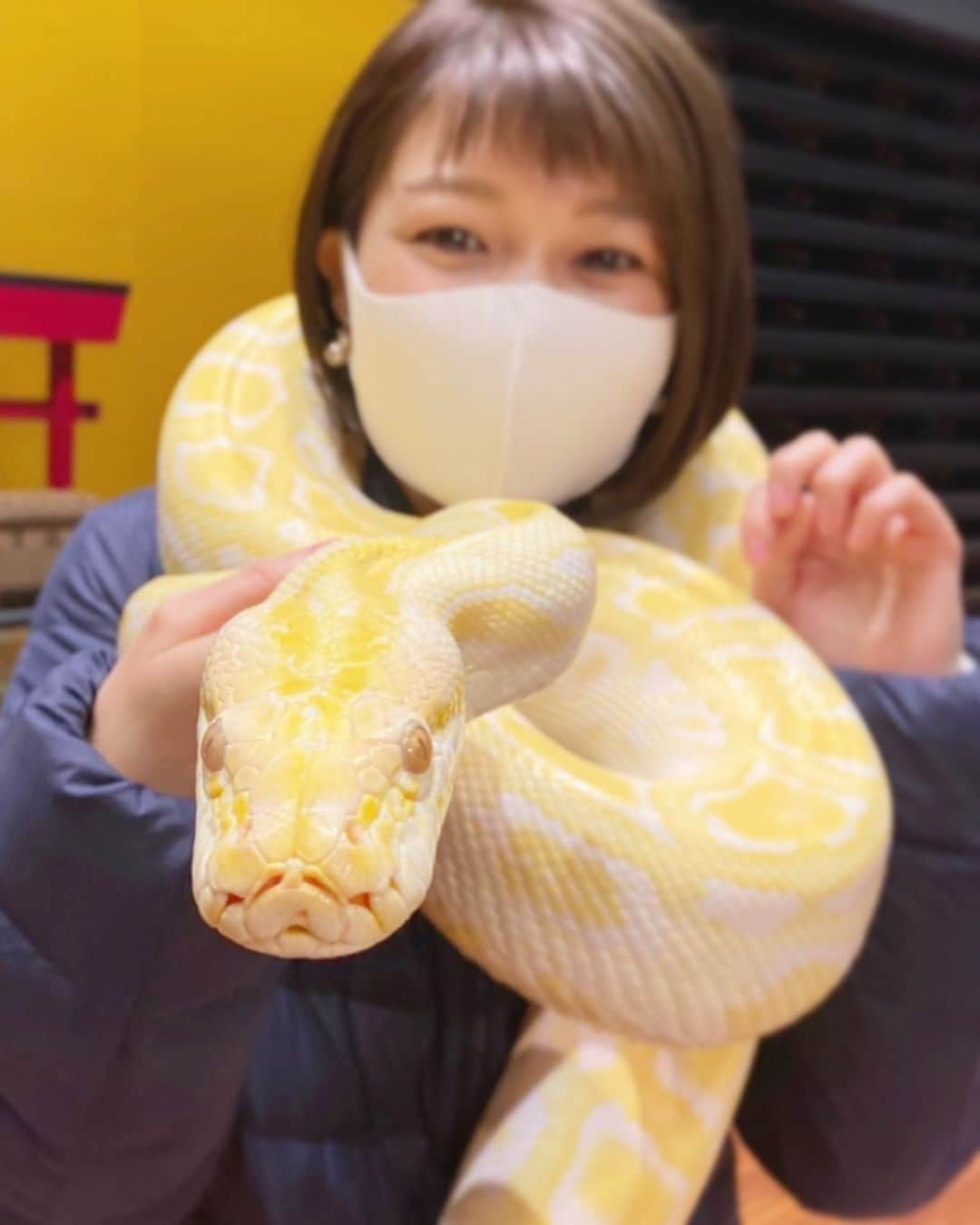 内村麻美のインスタグラム