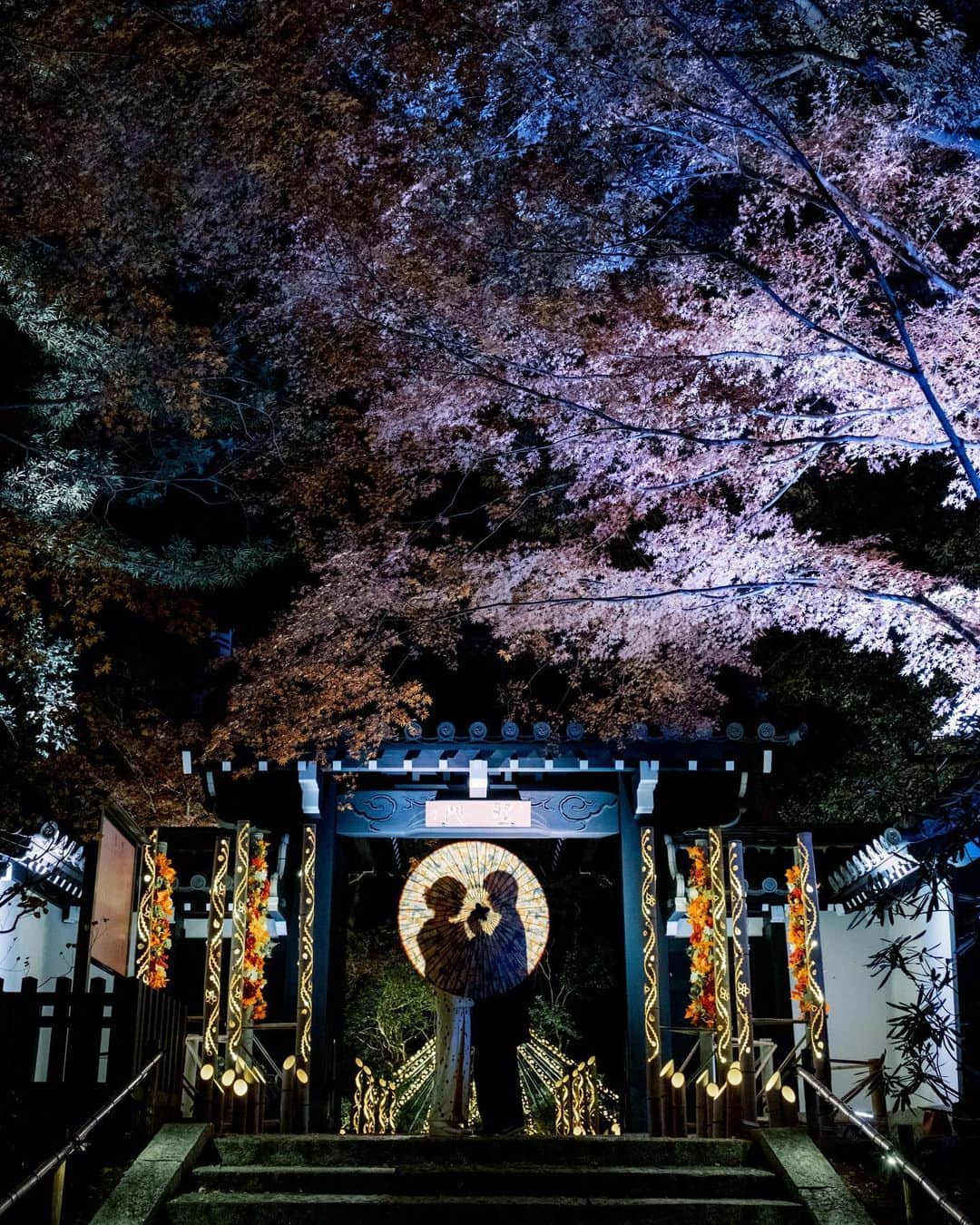shabonさんのインスタグラム写真 - (shabonInstagram)「* . . . . . よみうりランドの新しい施設である HANABIYORI @hanabiyori8717 に行って来ました！ . とても綺麗な植物園があり、 オシャレでスタイリッシュな館内には ここだけの限定のスタバが 出店していて、 フラワーシャンデリアなどの フラワーアートが可愛かったです☺︎︎ . 庭園は自然があって 京都にいるような感覚で リラックス出来るし館内では綺麗な花の プロジェクションマッピングも見る事が 出来ます！！ . 現在、HANAあかりという期間限定の ライティングイベントが行われており、 和のライトアップが美しかったので 和装で撮影して来ました👘 . 新宿から電車で25分で 行く事も出来るし、 コロナ対策も徹底されていて安心して 楽しむ事が出来ました☺︎︎ . #よみうりランド #よみラン #HANABIYORI #ハナビヨリ #HANAあかり #ハナあかり #スタバ #スターバックス #starbucks #カフェ巡り #花のある暮らし #植物園 #フラワーアレンジメント . . . . . *」12月22日 21時27分 - shabon