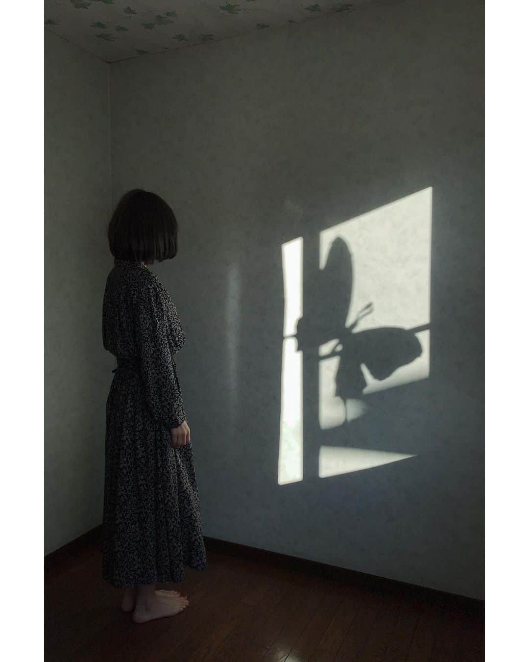 micalie3のインスタグラム：「. 観察 . .」