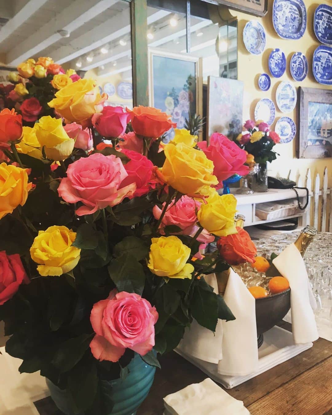 藤島妃呂子のインスタグラム：「メッセージありがとうございます❤️ 今日は静かに誕生日を過ごしました〜。 健康であることに感謝です🙏  今年は大変な一年になってしまいましたが、来年の12月はみんなが楽しく賑やかなクリスマスシーズンを過ごせるようになると良いな〜🎄  まだ今は我慢する事がたくさんありますが健康第一で年末年始を過ごして過ごして行きましょう！」