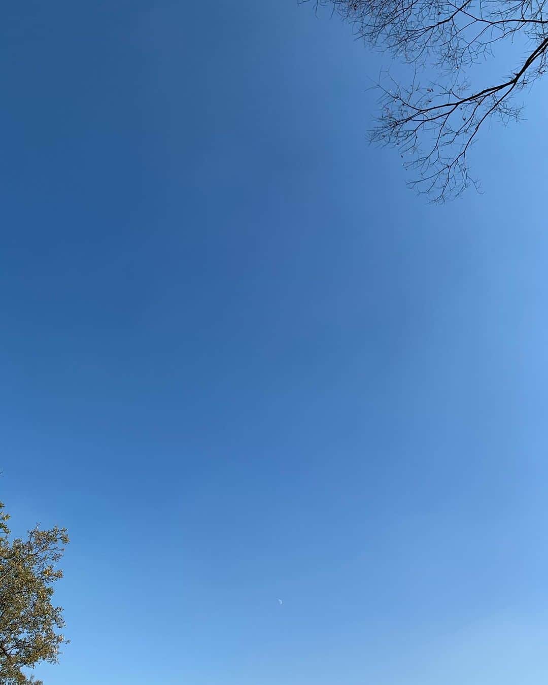 来夏のインスタグラム：「#💙 風の時代がやってきた🪐  いつものように娘と 公園お散歩しただけだけど なんだか気持ちがよかった🌿  最近 それは何のために..?と 聞かれたことがあって 少し頭を巡っていた💭 これといって 何のためでもないけれど.. 答えが必要なのか..? と.  ただ "なんとなく"が (好き,楽しい,したい,あるいはしたくない) 答えだったりする🌈  そんな なんとなくの感覚を もっと集めたいな〜と思った🦋  そしたらきっと何かのためになってるかも☺︎  これからの変化をたのしもう🕊  今日の青空がとーっても今の心に似ていた✨💙  #風の時代 #2020」