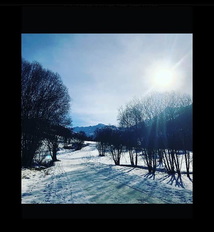 エマニュエル・ベアールのインスタグラム：「Le #ski sans #ski  c’est bien aussi 🎄 #skidefond🎿」