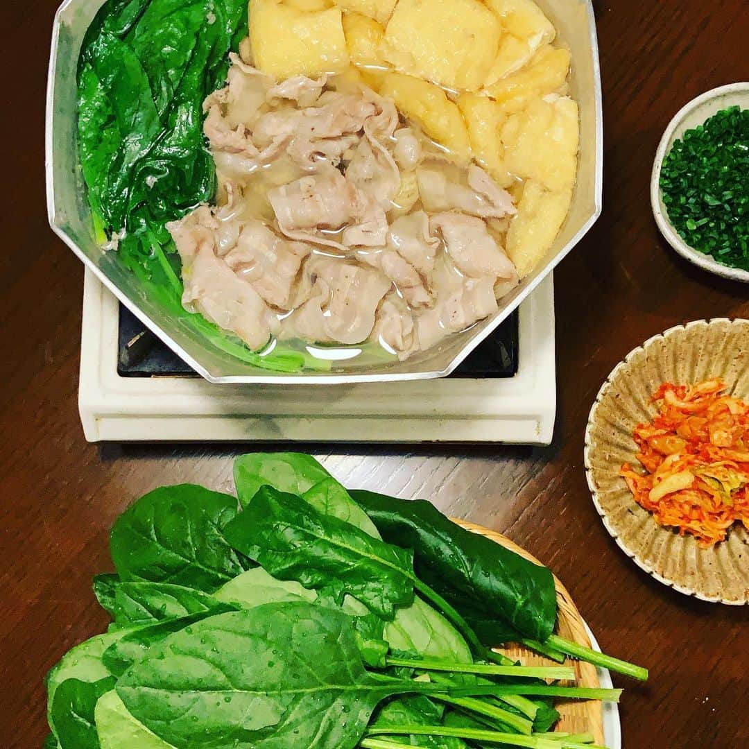 志摩有子さんのインスタグラム写真 - (志摩有子Instagram)「いつ食べても簡単美味しい白だし鍋。つゆの味付けは白だしのみ、そこにニンニクと生姜をひとかけらずつ放り込むだけ。キムチを薬味に、ポン酢をたらしても。  #白だし鍋 #美味しいルーティン」12月22日 22時03分 - ariko418