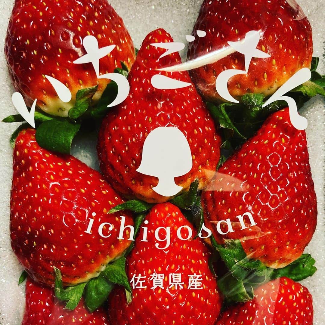 池田鉄洋のインスタグラム：「グッドデザインだなあ。」