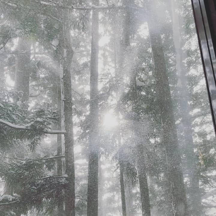 vo_coのグルメインスタ