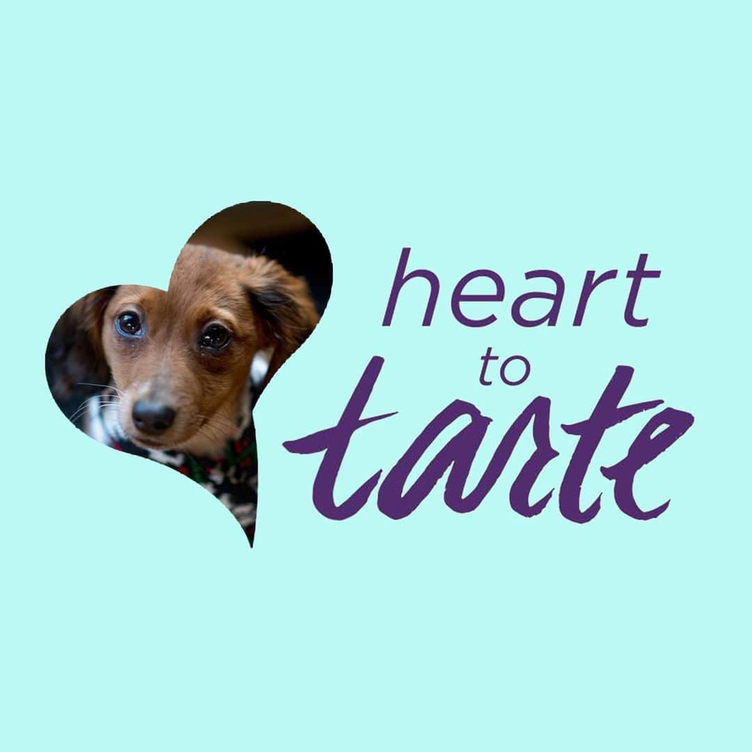 Tarte Cosmeticsさんのインスタグラム写真 - (Tarte CosmeticsInstagram)「Day 5 of giving: Animal Rescue. tarte has been cruelty-free for 20 years, & our team loves to spend time volunteering at local shelters! One of our fave rescues, @socialteesNYC is located in the East Village of NYC, where tarte sprouted its roots in 2000. @socialteesnyc is a foster based animal rescue that takes abandoned animals from shelters & provides them with a safe haven & veterinary care before placing them in fur-ever homes. Head to our IG stories to swipe up to donate & if you can't, you can help by sharing this post to spread the love! All heart to tarte donations added at checkout today, 12/22 will also be directed to @socialteesnyc 💜 #tartegivesback」12月22日 23時01分 - tartecosmetics