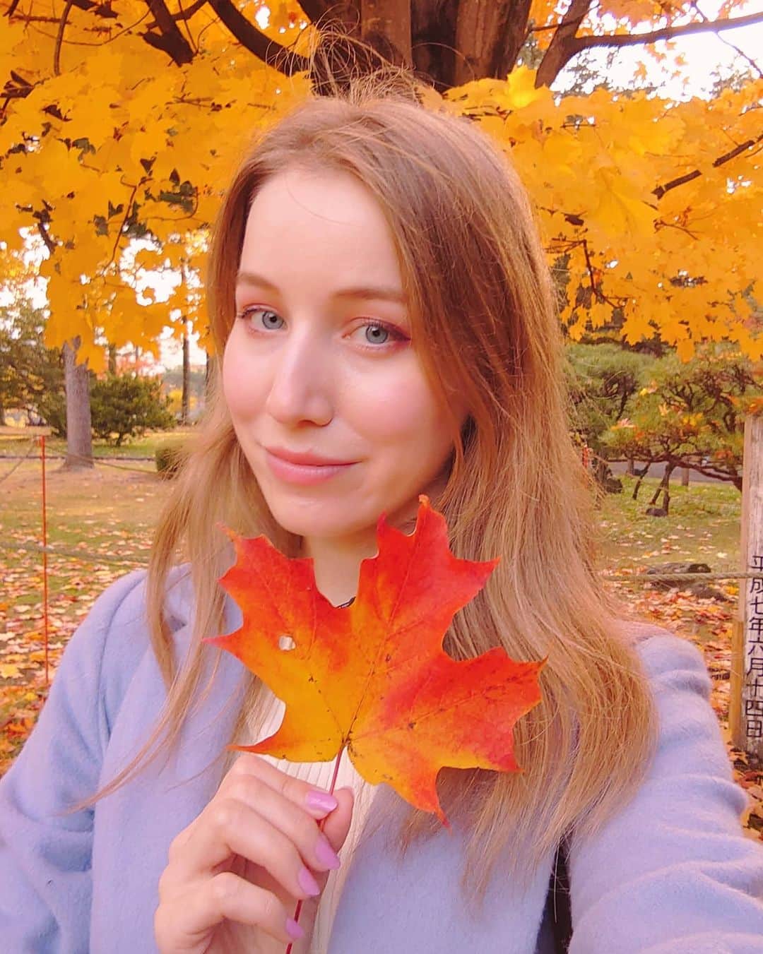 アシヤのグルメインスタ