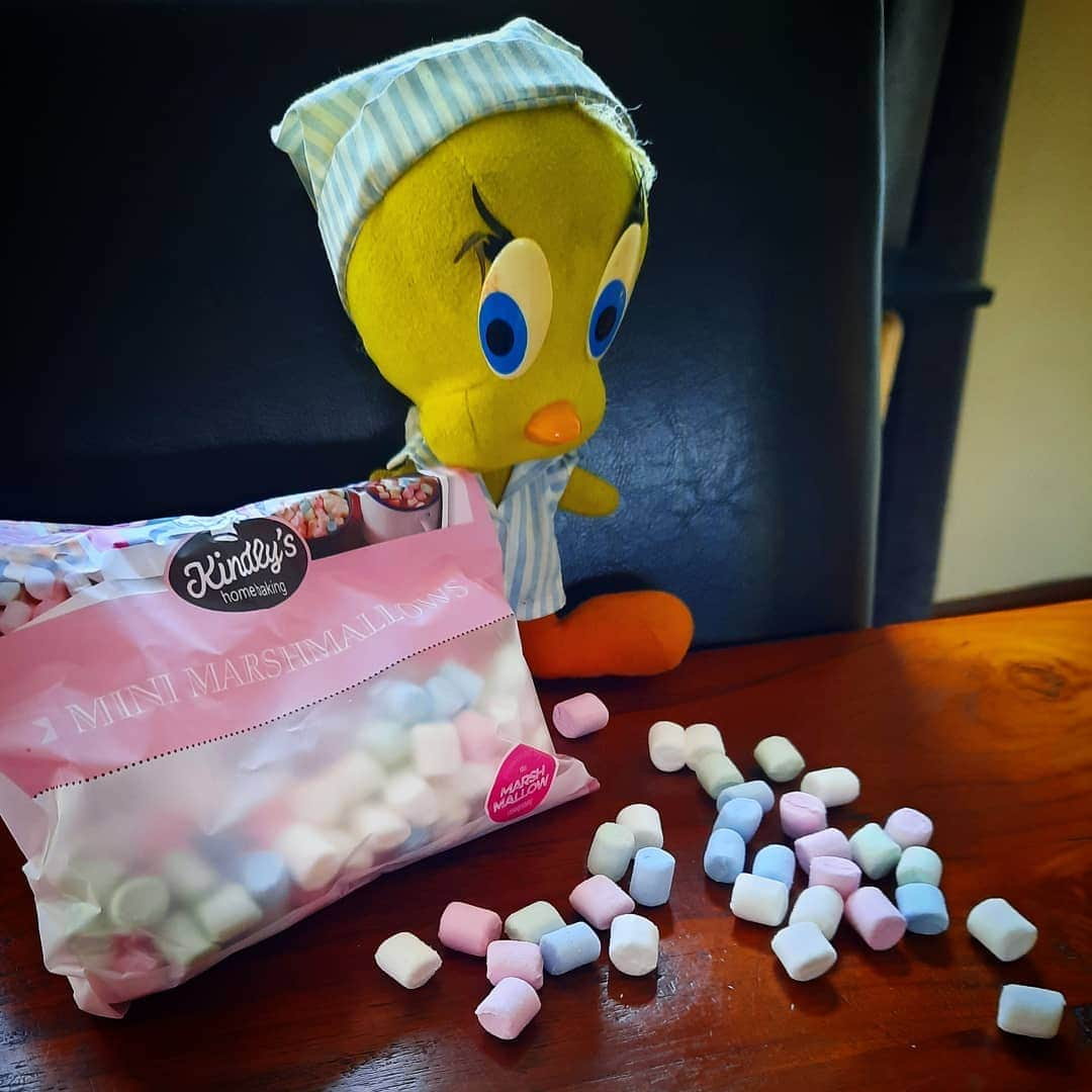 Little Yellow Birdさんのインスタグラム写真 - (Little Yellow BirdInstagram)「How cute are these mini marshmallows!! Now all we need is some hot cocoa for #honeygroveteapartytuesday! #littleyellowbird #tweety #tweetykweelapis #adventures #yellow #bird #tuesday #chocolate #hotchocolate #cocoa #hotcocoa #marshmallows #mini #sweet #stuffedanimalsofinstagram #plushiesofinstagram」12月22日 23時13分 - tweetykweelapis