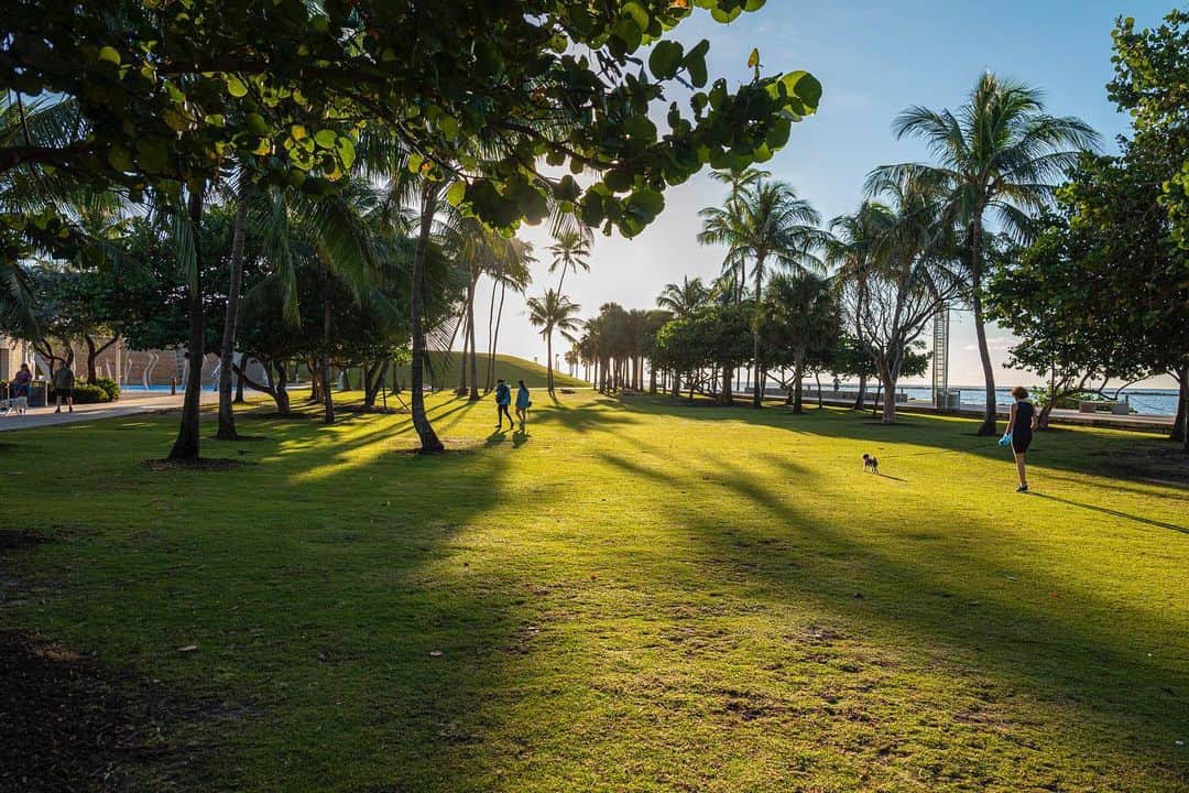 National Geographic Creativeのインスタグラム：「Photo by Isaac Diggs @diggsandco.studio // Sponsored by @kiamotorsusa // With its large lawn, boardwalk, pier, and beach, South Pointe Park in Miami has long been a convenient place to enjoy the outdoors. During the pandemic, when so many of our everyday activities were disrupted, having access to places like South Pointe was even more important in maintaining emotional and physical health. South Pointe became a safer and idyllic spot to celebrate birthdays, weddings, and other rituals that sustain our sense of community. // Tune in to Dick Clark’s New Year’s Rockin’ Eve with Ryan Seacrest live from Times Square on ABC to learn about how the #KiaSorento road-tripped across the country to deliver the iconic 2021 New Year’s Eve numerals to Times Square Plaza—just in time for the @rockineve ball drop. #KiaNYE」