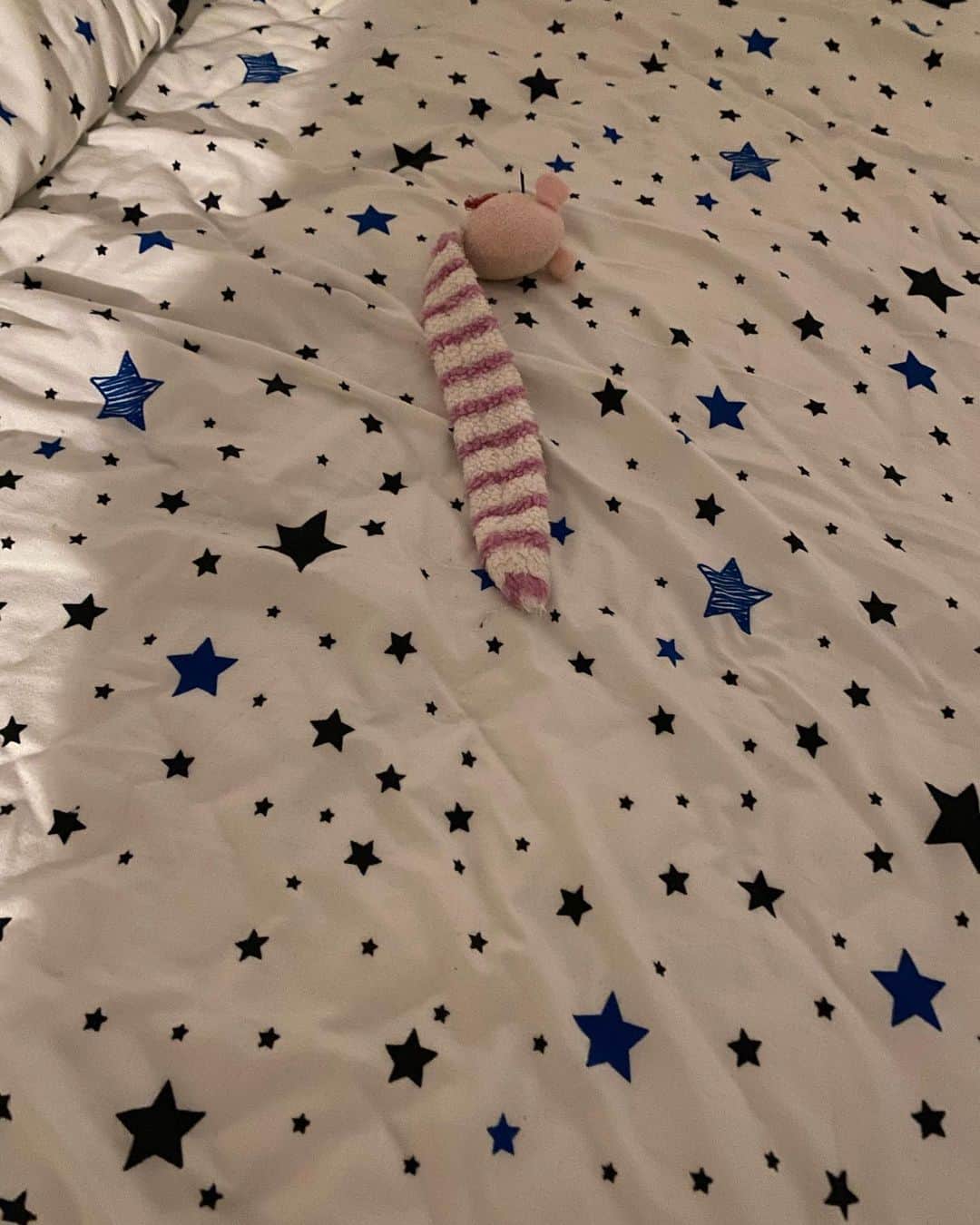 赤西涼のインスタグラム：「帰ってきてベッドを見たららいちゃんのおもちゃが😂 ここまで持ってきて遊んだんだなーって考えてたら愛おしくてたまらなくなってきた🥺💕」