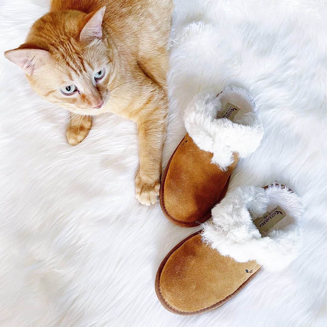 ロック&リパブリックのインスタグラム：「Fuzzy feet for everyone. 🖤 Save 20% through 12/24, and try fast + free store pickup to get your gifts in 2 hours or less (fur-real).」