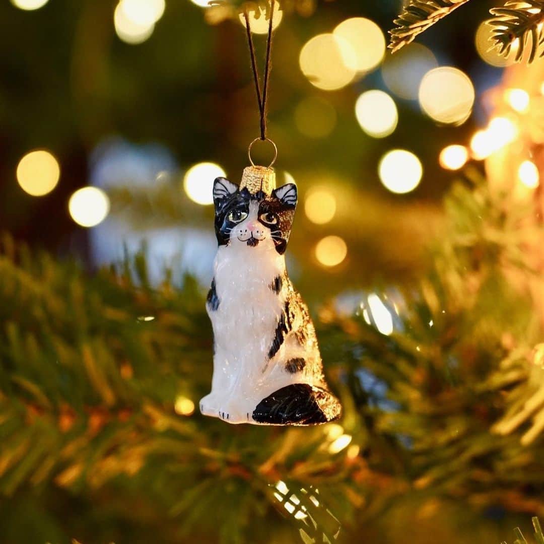 C.O. Bigelowさんのインスタグラム写真 - (C.O. BigelowInstagram)「Bring our shop cat, Allegra, home for the holidays! 🐈🎄 Produced in partnership with @joytotheworldcoll, our hand-painted Apothecary Cat Ornament symbolizes our tradition of having a tuxedo rescue cat in our family! Kitties Marsha, Mr. Bigelow, Rex, and now Allegra have all been part of our legacy! 😻⁠ ⁠ Pair with our Allegra Holiday Card! 💌 Spread peace, love and holiday cheer! 🕊️⁠#AlwaysAllegra」12月23日 0時31分 - cobigelow