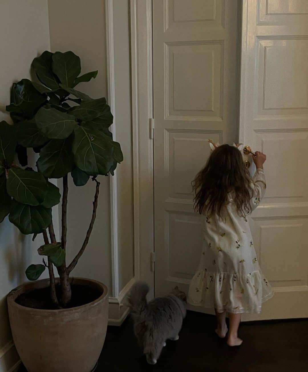 Mathilde Goehlerのインスタグラム：「Companion 🖤」