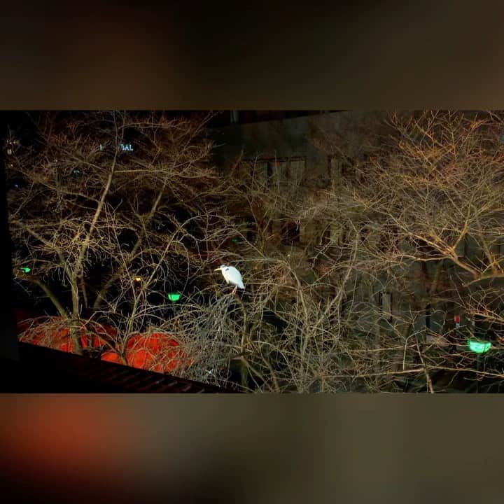 百合華のグルメインスタ