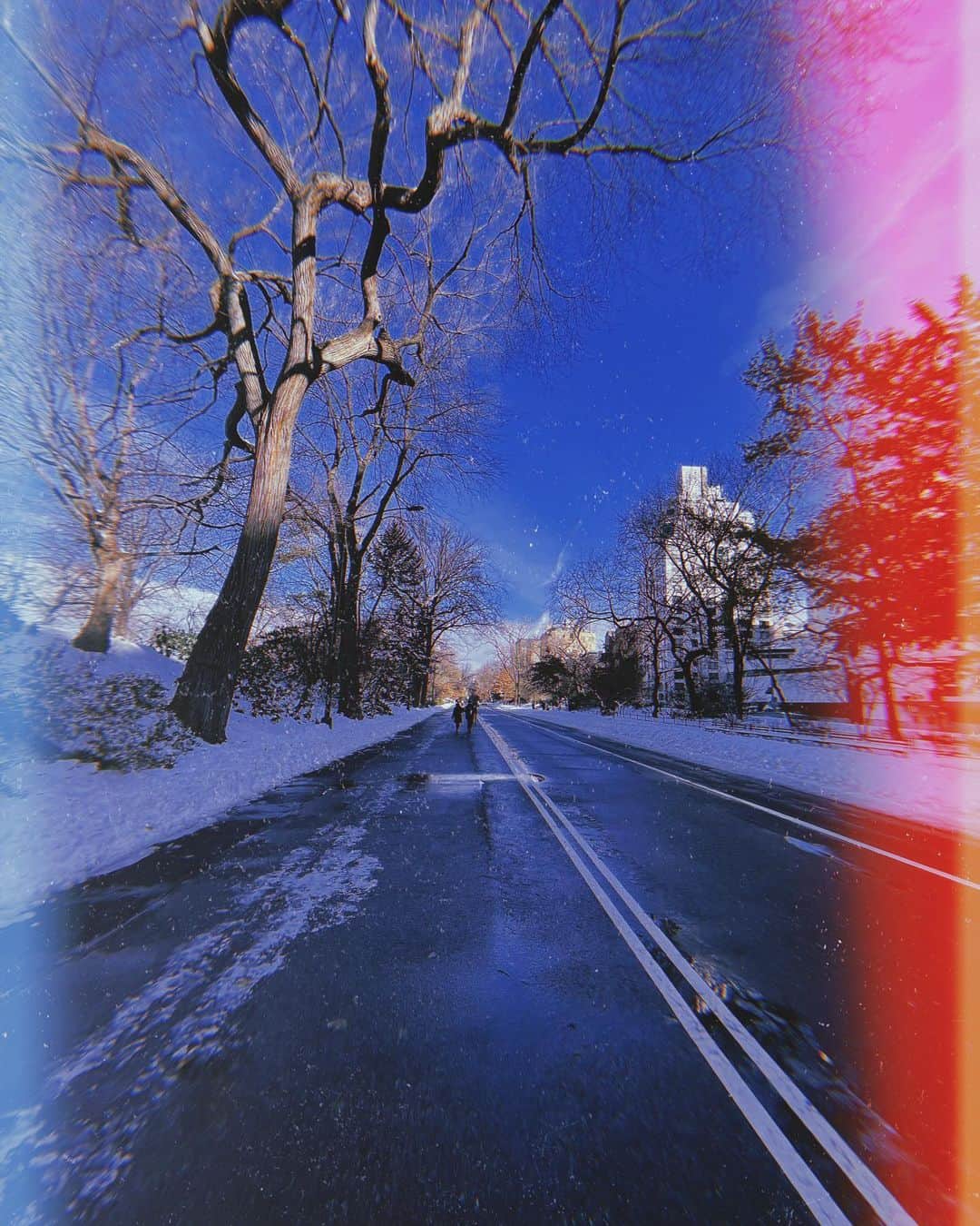 柳喬之さんのインスタグラム写真 - (柳喬之Instagram)「Never get tired of Central Park ☃️ 雪の中のランニング最高🏃‍♂️  #centralpark #centralparknyc」12月23日 10時54分 - dvdtyng