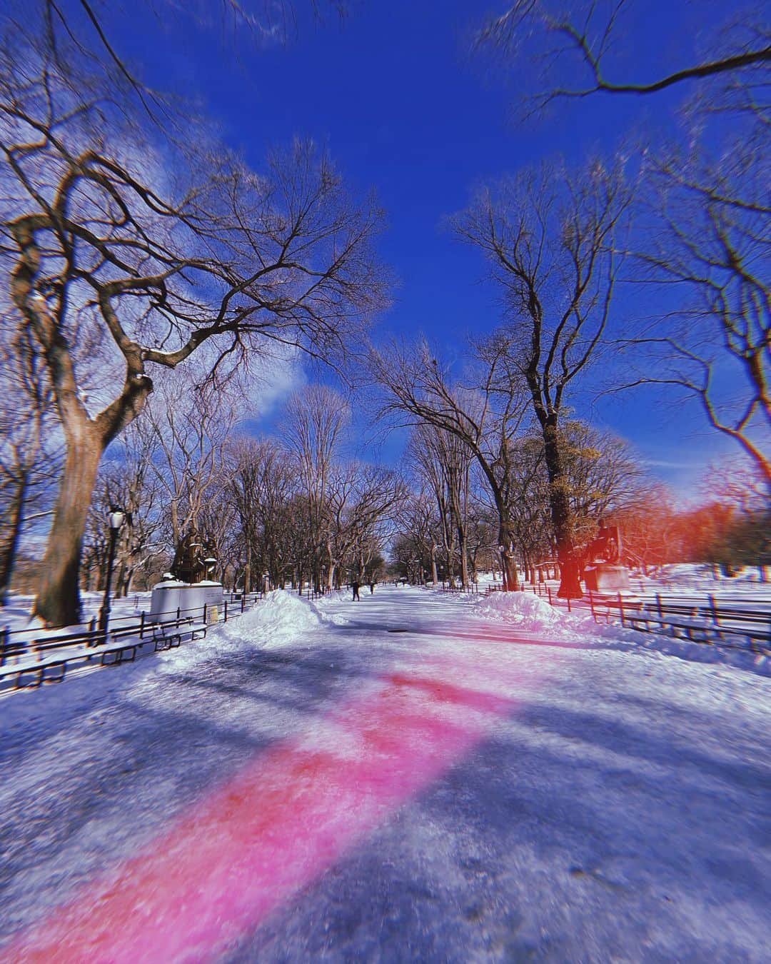 柳喬之のインスタグラム：「Never get tired of Central Park ☃️ 雪の中のランニング最高🏃‍♂️  #centralpark #centralparknyc」