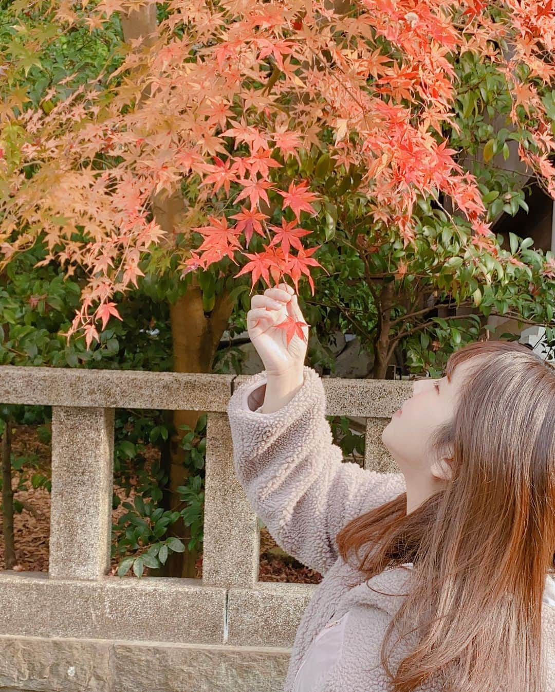 岩村捺未さんのインスタグラム写真 - (岩村捺未Instagram)「. 寒川神社行った時の写真📷 まだ紅葉が綺麗だった〜🍁. また行きたいなあ😊. . . #寒川神社 #八方除 #寒川 #神社 #お参り #紅葉」12月23日 10時59分 - iwamuranachu