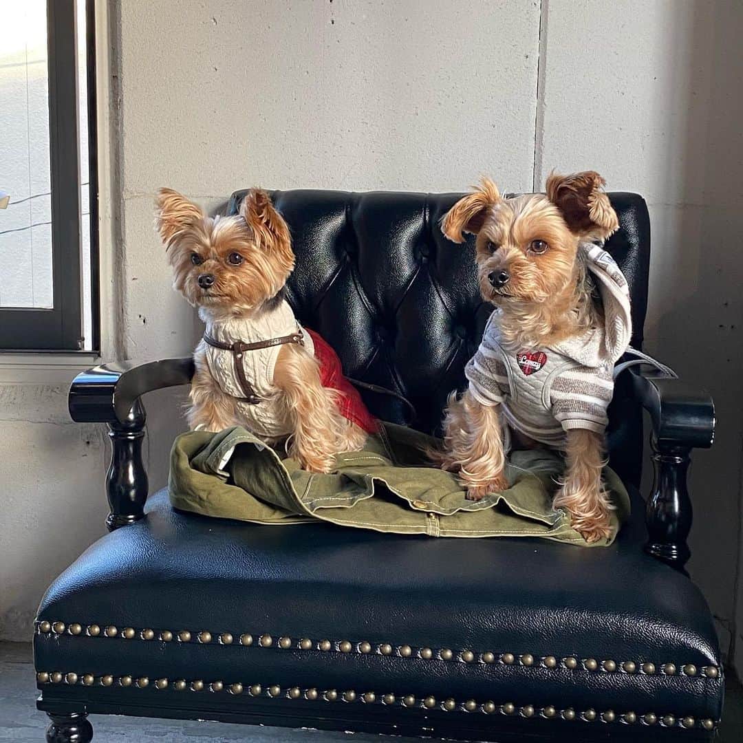 Rubyのグルメインスタ