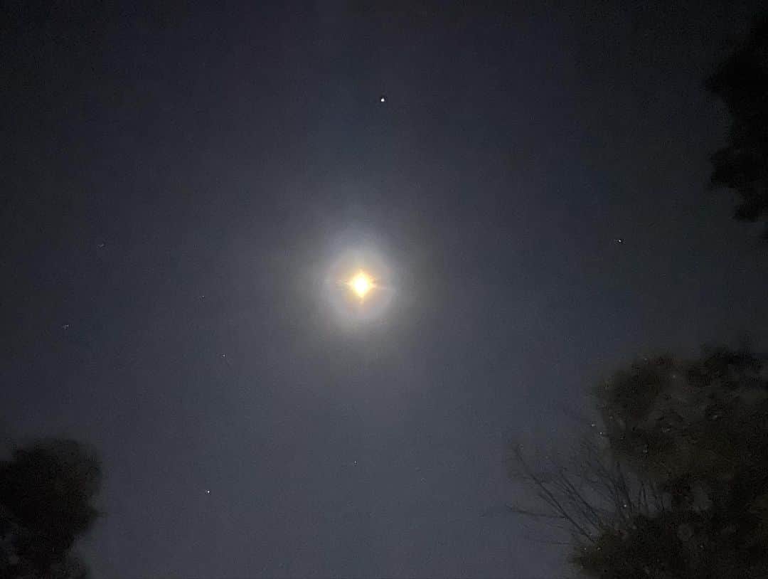 カロライナディークマンさんのインスタグラム写真 - (カロライナディークマンInstagram)「é tanta estrela,  planeta,  lua e beleza...  axé! 🤍🏹」12月23日 11時37分 - loracarola