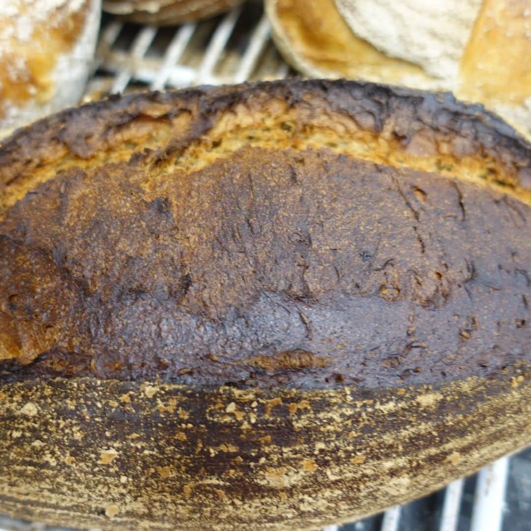 魔女菅原のグルメインスタ