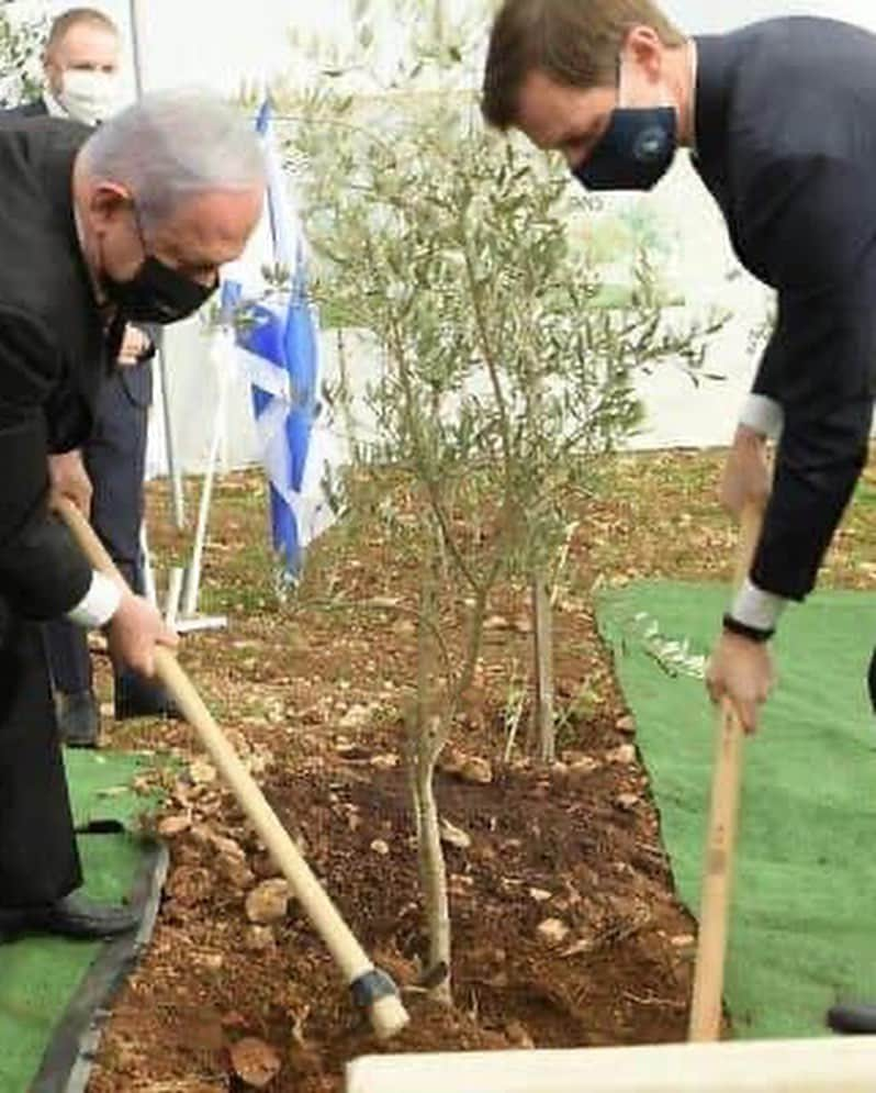 イヴァンカ・トランプさんのインスタグラム写真 - (イヴァンカ・トランプInstagram)「Over the past two days,   🕊 PM Netanyahu and Jared Kushner participate in a tree-planting ceremony at the Grove of Nations, planting 18 olive trees as a symbol of peace.   🕊 The Kushner Garden of Peace is dedicated to Jared for his indispensable roll in the Abraham Accords.   🕊 US Ambassador to Israel, David M. Friedman, dedicated the courtyard at U.S. Embassy Jerusalem to Jared in honor of his relentless pursuit of peace through the Abraham Accords.   🕊 After the US brokered peace deal, El Al Airlines operates the first commercial airline flight between Israel and Morocco!」12月23日 4時05分 - ivankatrump