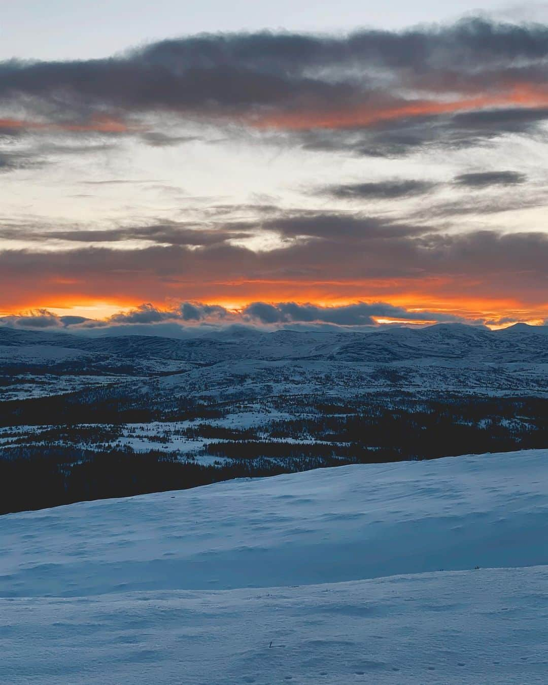 マチルダ・セーデルルンドさんのインスタグラム写真 - (マチルダ・セーデルルンドInstagram)「Shortest day of the year ✨was pretty beautiful 🌅 snow mobile tour up to Renfjället with @alexanderryden_film」12月23日 4時39分 - matilda_soderlund